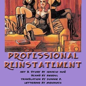 Porn Comics - Professional Reinstallment Cartoon Porn Comic