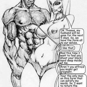 QUICKIES PornComix IllustratedInterracial Comics 007 